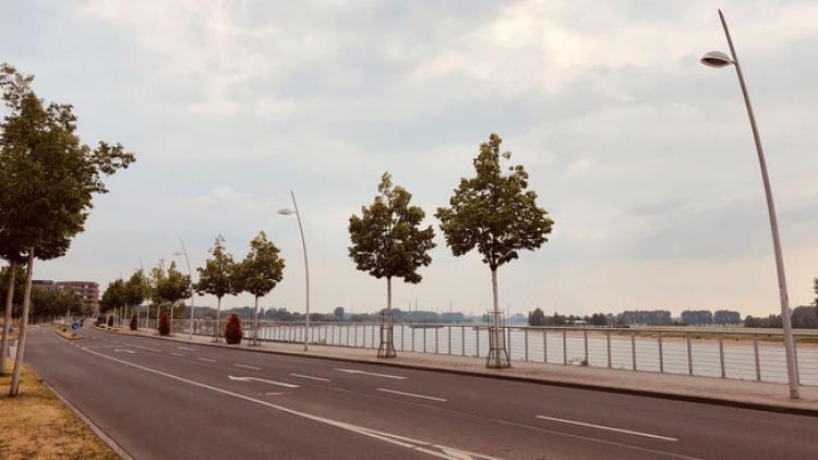 Rheinpromenade